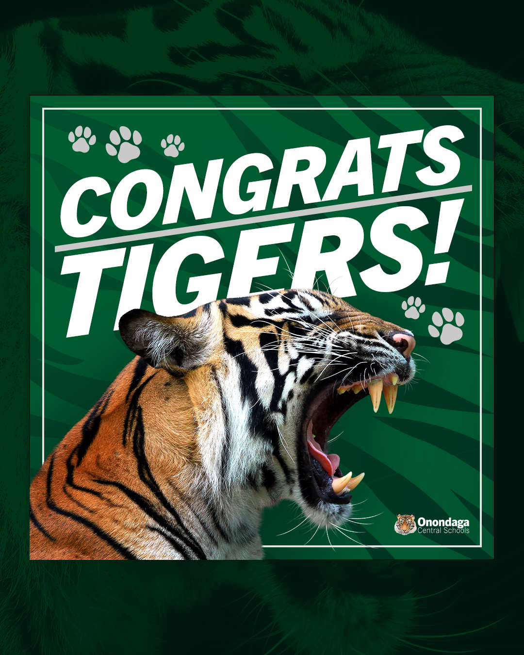 Congratulations Tigers~!